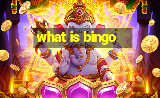 what is bingo