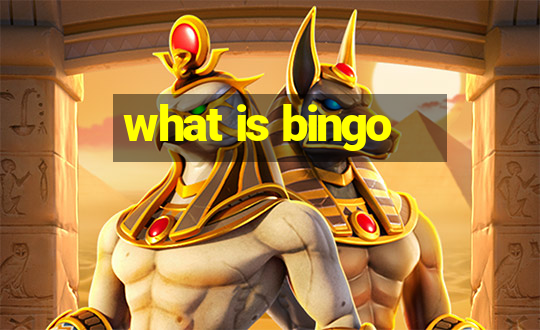 what is bingo