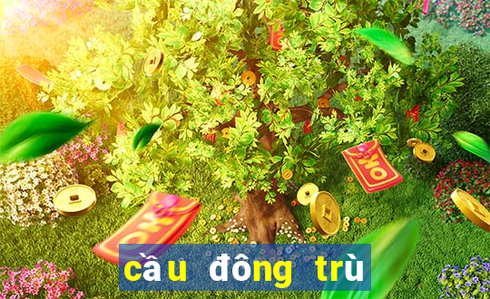 cầu đông trù google map