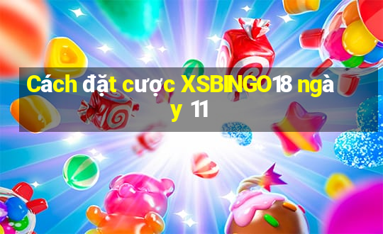 Cách đặt cược XSBINGO18 ngày 11